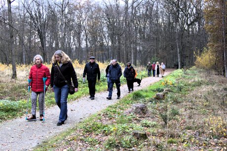Fu&szlig;marsch vom Ruheforst