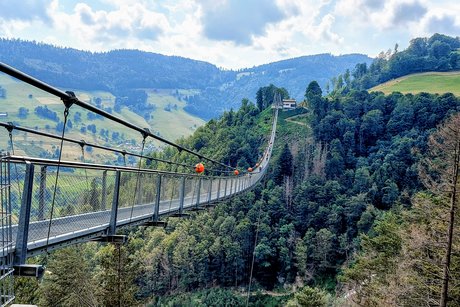 Todtnauer Hängebrücke