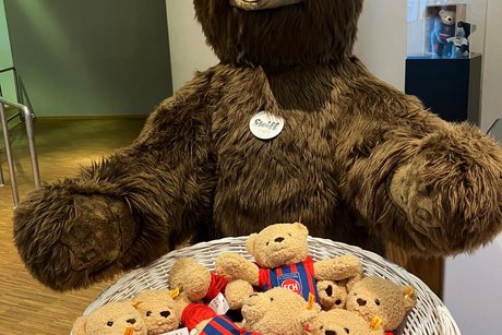 Lebensgroßer Stoffbraunbär vor einem Strohkorn, in dem viele kleine Teddybären liegen