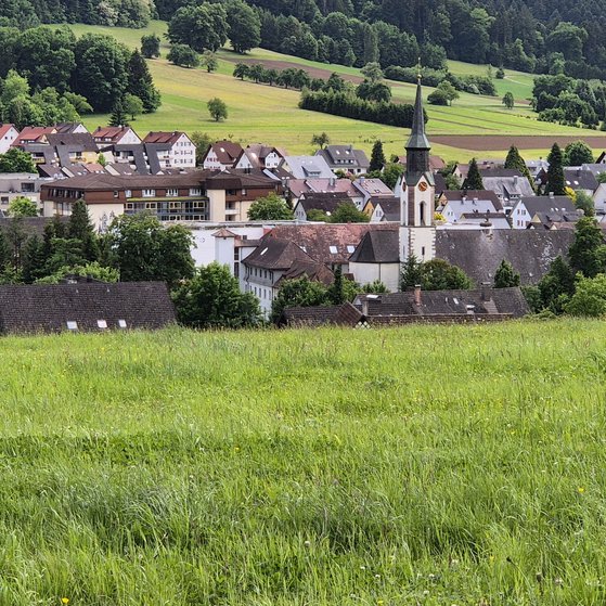 Zeigt den Blick aus Westlicher Richtung auf Unterharmersbach und die Wallfahrtskirche Maria in Ketten