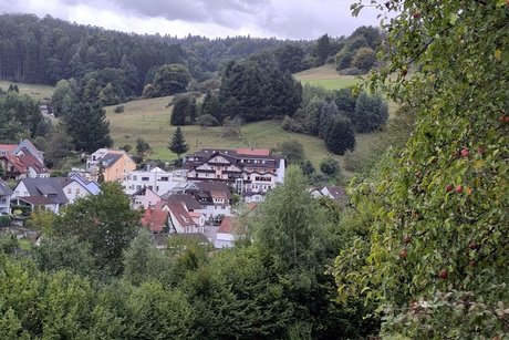 Blick auf unser Hotel Spessartruh in Frammersbach