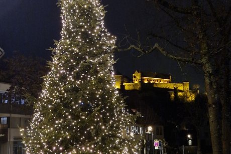 Tanne beleuchtet mit Burg Stettenfels Vordergrund große Tanne mit Lichterkette. Im Hintergrund Schloss Stettenfels beleuchtet