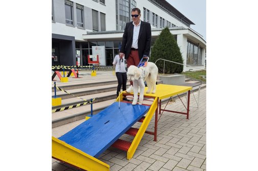 Blindenhundevorführung