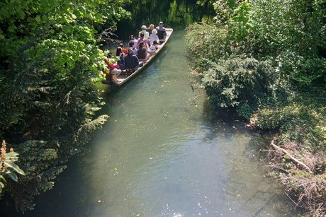 Kahnfahrt auf der Lauch in Colmar