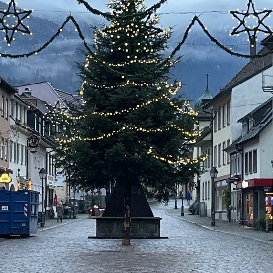 Weihnachtsbaum Waldkirch