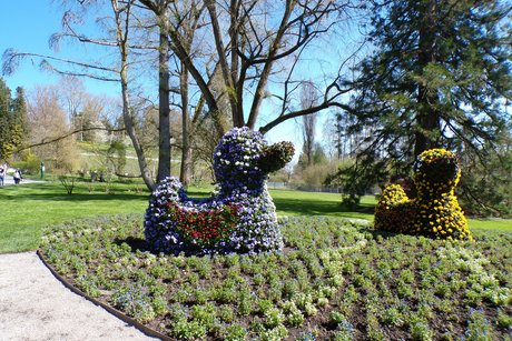 Auch die Blumenenten lassen gr&uuml;&szlig;en