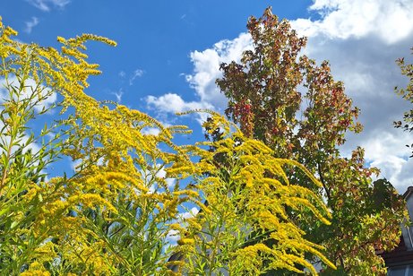 Der Herbst in Aufbruchstimmung!