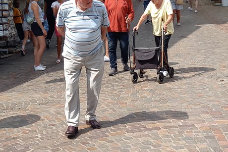 Apfelzügle