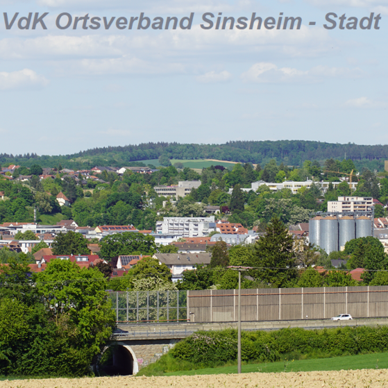 Sinsheim