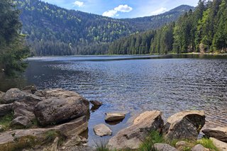 Bild zeigt einen Blich über den See