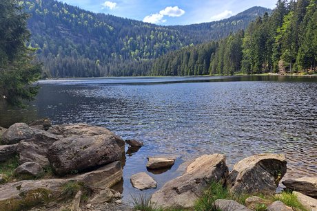Bild zeigt einen Blich über den See