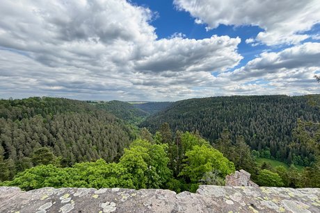 Aussicht Burg Zavelstein