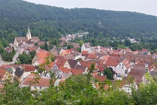 Panoramasicht auf eine Kleinstadt, die von Wald umgeben ist.