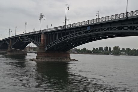 Tagesausflug 2025 - Theodor-Heuss-Brücke