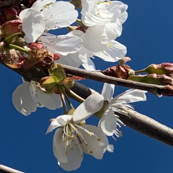 Gesundheit für ALLE! VdK Gesundheitstag am 3. Mai 2026 in Betra