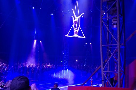 tolle Vorstellung der Artisten