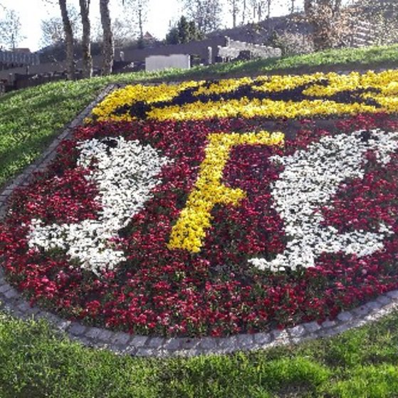 http://www.freudenstadt.de/