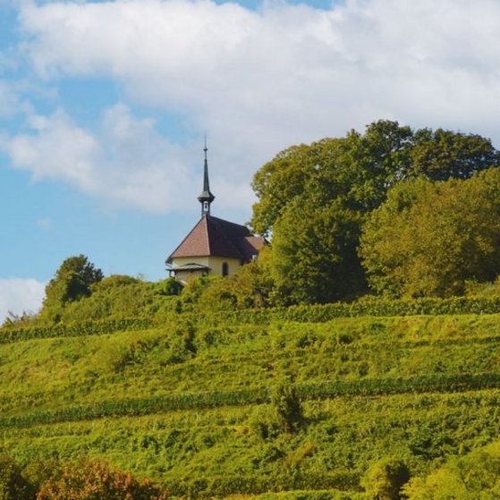 Blick vom Tuniberg