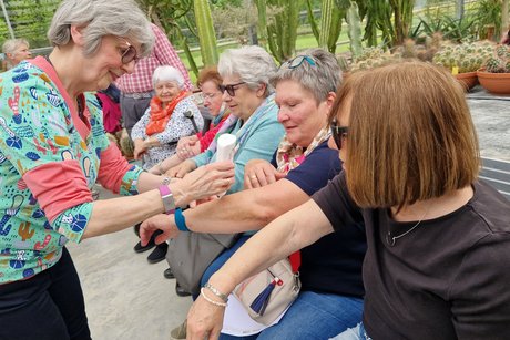 Alo evera für die Hautpflege