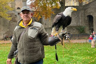 Falkner mit einem Greifvogel