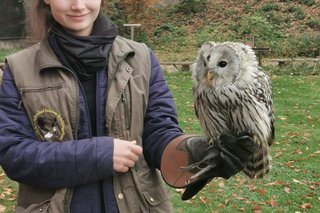 Falknerin mit einem Greifvogel