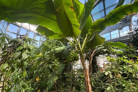 Ausflug Tübingen Botanischer Garten