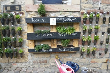 Ein Kräutergarten etwas anders