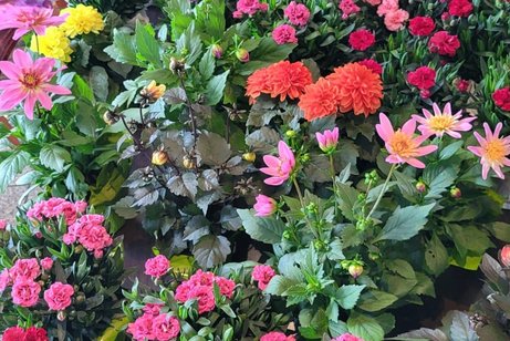Blumen