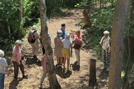 Wackelwald Bad Buchau