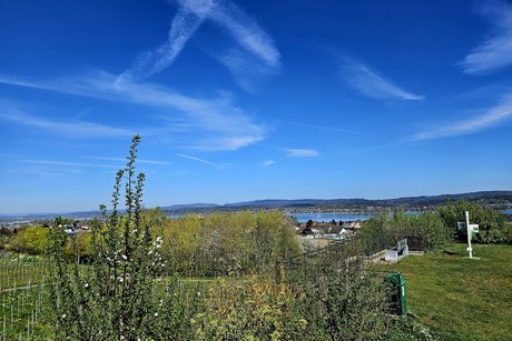 Ein Blick vom h&ouml;chsten Punkt der Insel &uuml;ber Wiesen und Weinberge bis zum See, am blauen Himmel ein paar Wolken wie mit einem Pinselstrich gemalt.