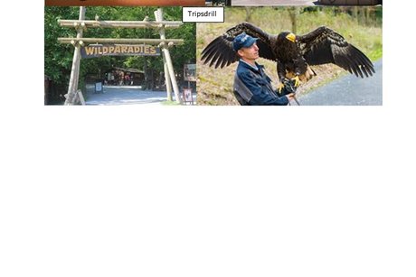 Collage mit Bildern vom Schnapsmuseum und Schloß in Bönnigheim und Flugshow und Eingangsbereich im Wildtierpark Tripsdrill Collage mit Bildern vom Schnapsmuseum und Schloß in Bönnigheim und Flugshow und Eingangsbereich im Wildtierpark Tripsdrill
