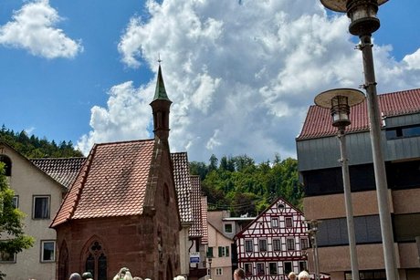 Calw