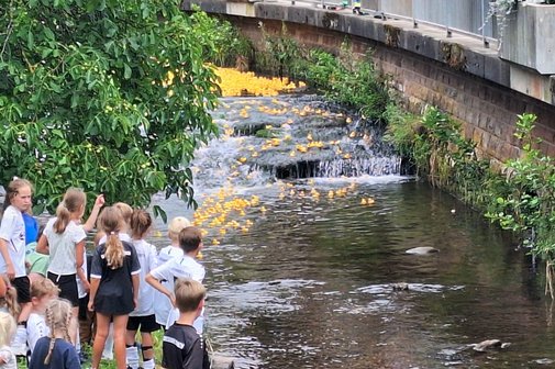 Enten schwimmen über Steine im Bach