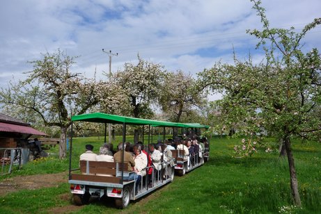 Mostzügle beim Mostbauer Waggershauser