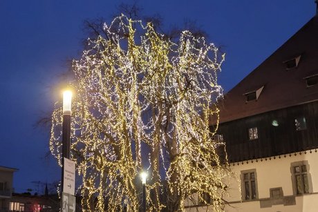 Il­lu­mi­nie­rter Baum