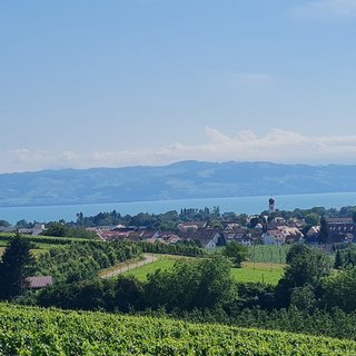 Herzlich Willkommen beim Ortsverband Kressbronn