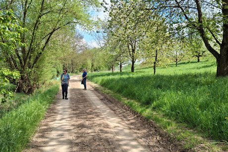 wandern