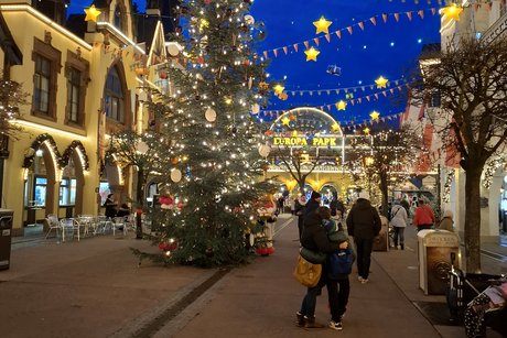 zur&uuml;ck zum Eingang