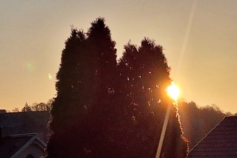 Der erste LIchtblick am Morgen