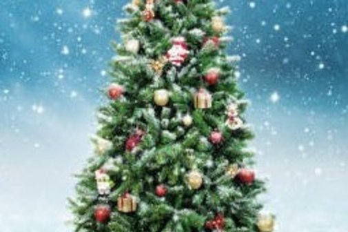 Weihnachtsbaum