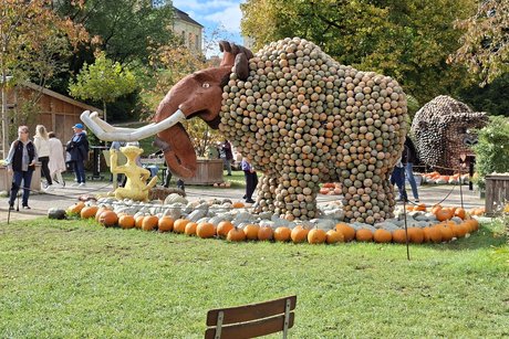Elefant aus K&uuml;rbisse