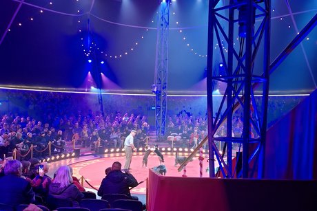 top Hunde Show im Zirkuszelt