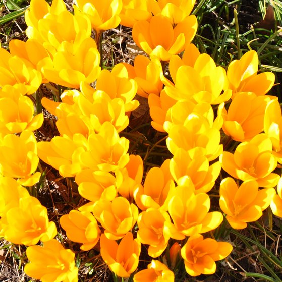 Ostergrüße Ostergrüße