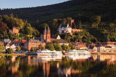 Miltenberg am Main Panorama mit Ausflugsschiffen