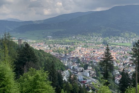 Stadtansicht Waldkirch