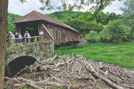 Alte Holzbrücke Unterregenbach mit treibholz im Vordergrund