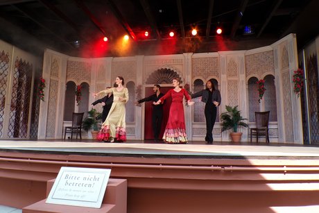 Die Flamenco Show. Die Flamenco Show.