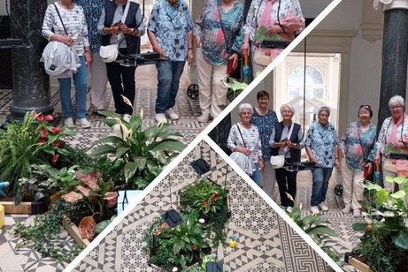 Gruppe mit 6 älteren Damen. Davor verschiedene Pflanzen in einzelen Pflanzkübeln.