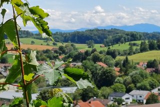 Ausblick vom Klosterberg