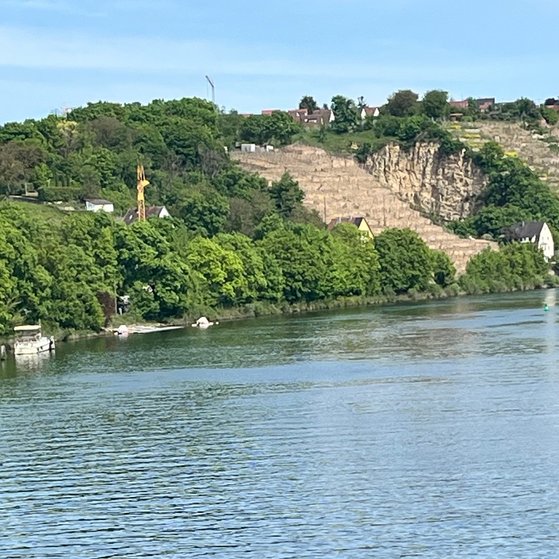 Blick zu den Weinbergen und zum Neckarufer
